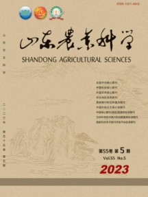 山东农业科学杂志